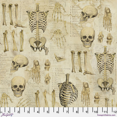 Laboratory - Anatomy, Neutral - PWTH181.NEUTRAL