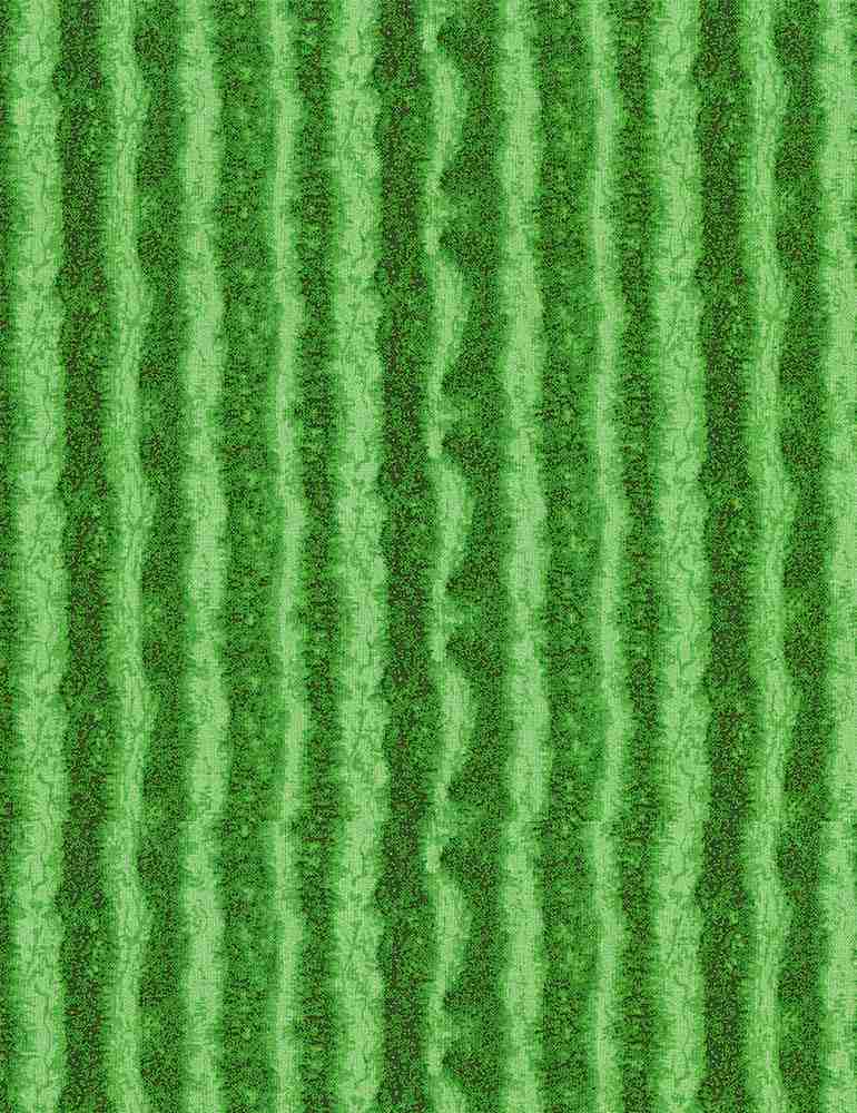 Fruit - Watermelon Stripes Texture, Green - FRUIT-CD1138