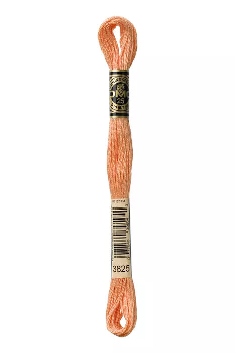 DMC 6 Strand Embroidery Floss - 3825 Muted Apricot