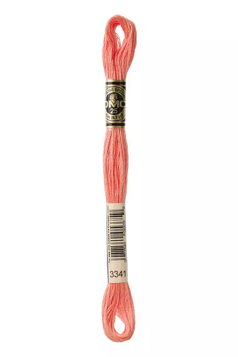 DMC 6 Strand Embroidery Floss - 3341 Kitten’s Nose