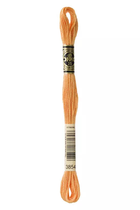 DMC 6 Strand Embroidery Floss - 3854 Chai Spice