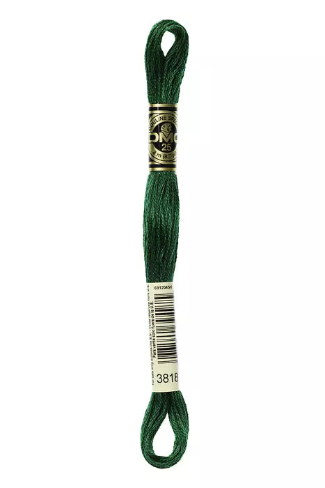 DMC 6 Strand Embroidery Floss - 3818 Broccoli