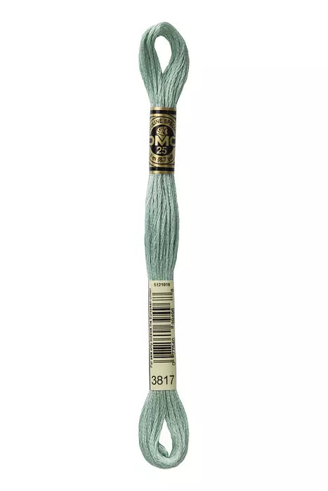 DMC 6 Strand Embroidery Floss - 3817 Poplar